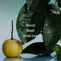 Neroli & Basil Extra-Strength Aluminum-Free Deodorant