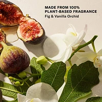 Bohemian Fig - Argan Oil + Sugar Balm Refillable Exfoliating Body Scrub Jar