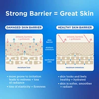 Barrier Buddies: Light Weights Hydration Set for Combination + Oily Skin