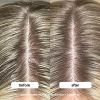 HG Clarifying Pre-Wash Treatment with Lactic Acid and Rosemary