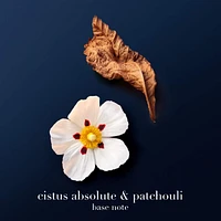 Acqua di Giò Profondo Parfum