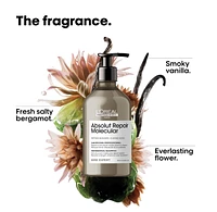 Absolut Repair Molecular Shampoo for Damaged Hair