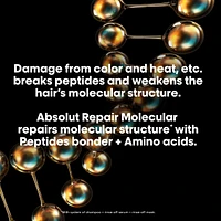 Absolut Repair Molecular Shampoo for Damaged Hair