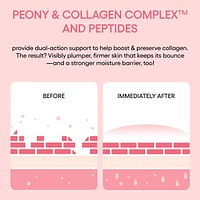 Bouncy & Firm Plump, Firm & Glow Set