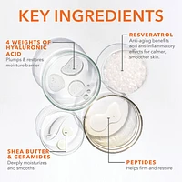 DermInfusions™ Blur + Repair Cream with Hyaluronic Acid and Peptides