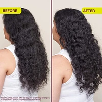 Densify Concentrated Conditioner for Fine or Thinning Hair