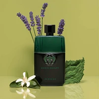 Guilty Essence Eau de Toilette with Lavender, Orange Flower, and Patchouli