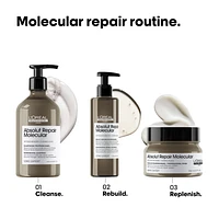 Absolut Repair Molecular Hair Mask for Damaged Hair