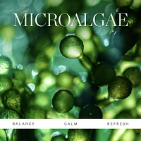 Active Algae Calming Cleansing Balm for Makeup and SPF Removal