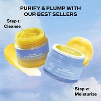 Purify & Plump Duo Set