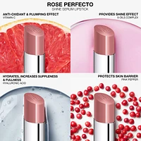Givenchy Rose Perfecto Shine Serum Lip Oil Stick