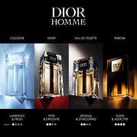 Dior Homme Parfum