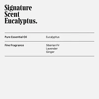 Eucalyptus Deodorant - Aluminum-Free Extra-Strength Mandelic Acid Deodorant