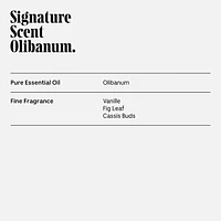 Olibanum Deodorant - Aluminum-Free Extra-Strength Mandelic Acid Deodorant