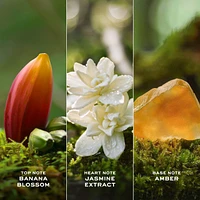 Daisy Wild Eau de Parfum Intense with Banana Blossom Accord, Jasmine & Amber