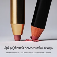 Signature Lip Sheer Liner