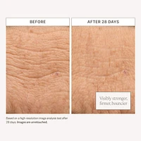 Barrier Build Skin Protectant Cream – Moisturizer with Ceramides