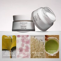 Ginkgo Light & Bouncy Water Cream Moisturizer