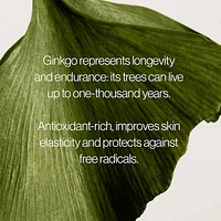 Ginkgo Light & Bouncy Water Cream Moisturizer