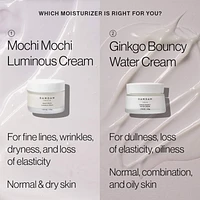 Ginkgo Light & Bouncy Water Cream Moisturizer