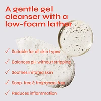 Bare Necessity Hyaluronic Acid Gentle Foaming Cleanser