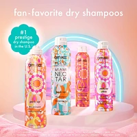 Amika x Ellis Brooklyn Miami Nectar Perk Up Dry Shampoo