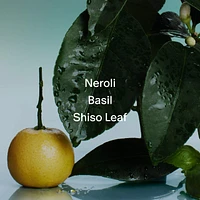 Neroli & Basil Body Wash with Niacinamide + Probiotics