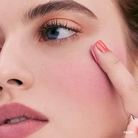 Pot Rouge Velvet Matte Cream Blush for Cheeks & Lips