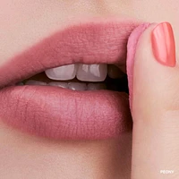 Pot Rouge Velvet Matte Cream Blush for Cheeks & Lips