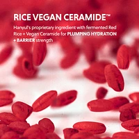 Red Rice Hydrating Serum with Ceramide