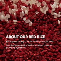 Red Rice Hydrating Serum with Ceramide