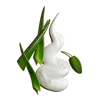 Pure Clean Daily Facial Cleanser