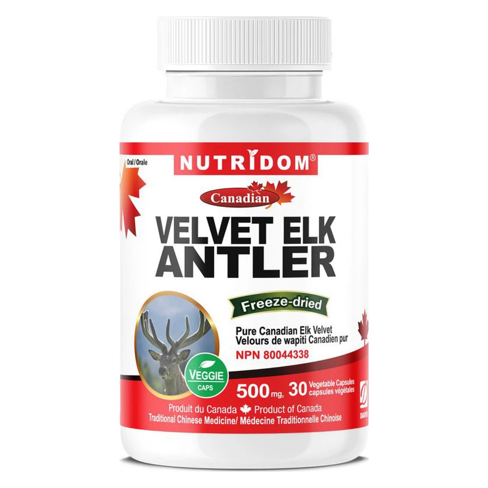 Velvet Elk Antler