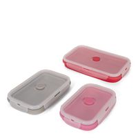 Watermelon 3 pcs Collapsible Silicone Containers