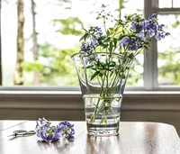 Anemone Vase | Medium Glass Vases | Simon Pearce