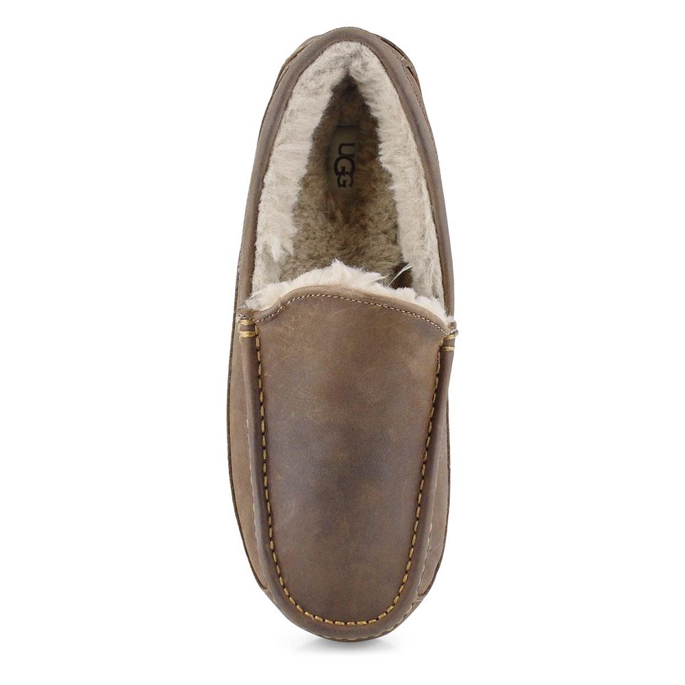 Mens ASCOT Sheepskin Slipper - Tan