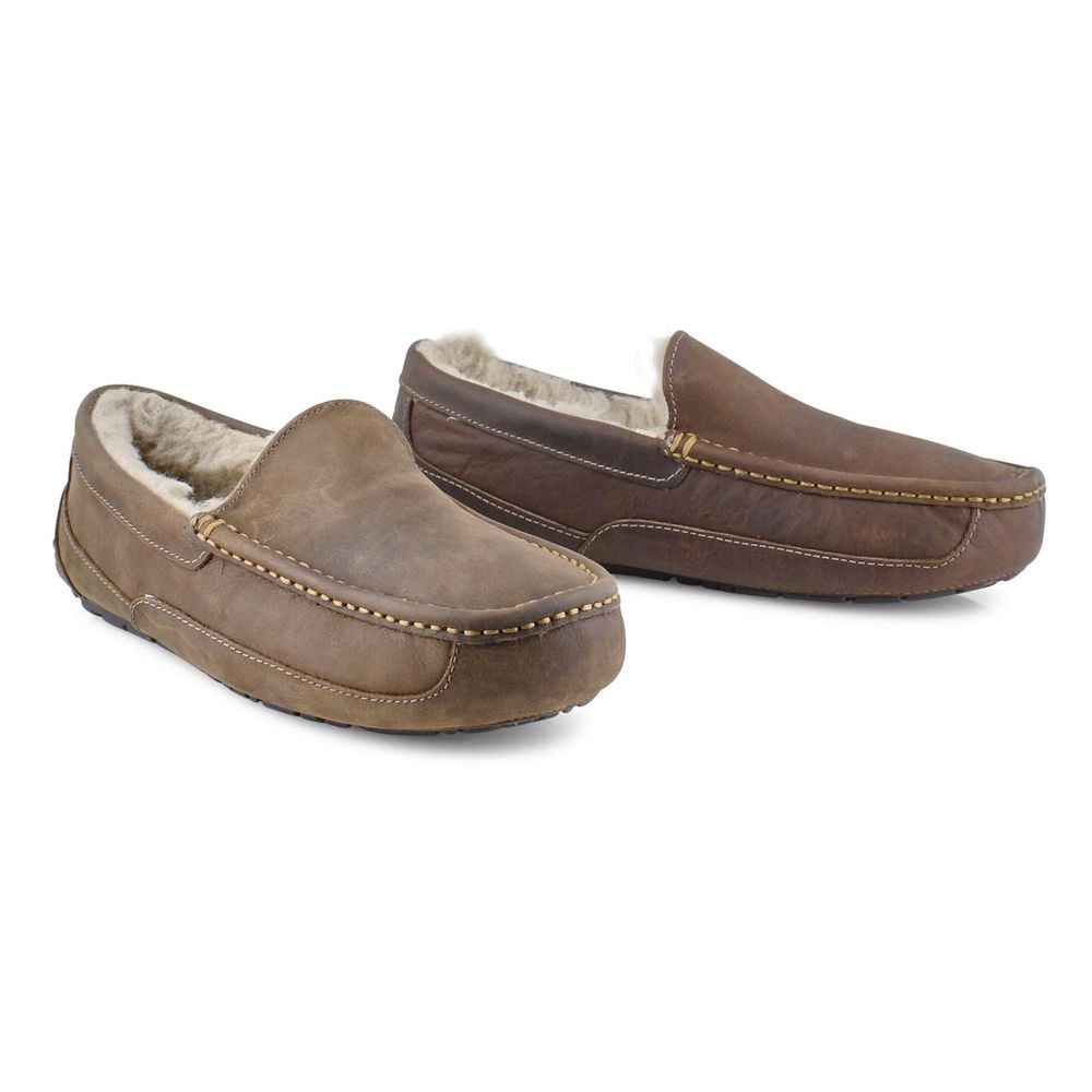 Mens ASCOT Sheepskin Slipper - Tan