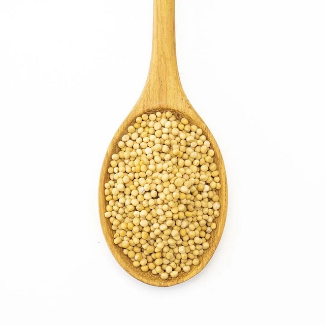 Mustard - Yellow Seed