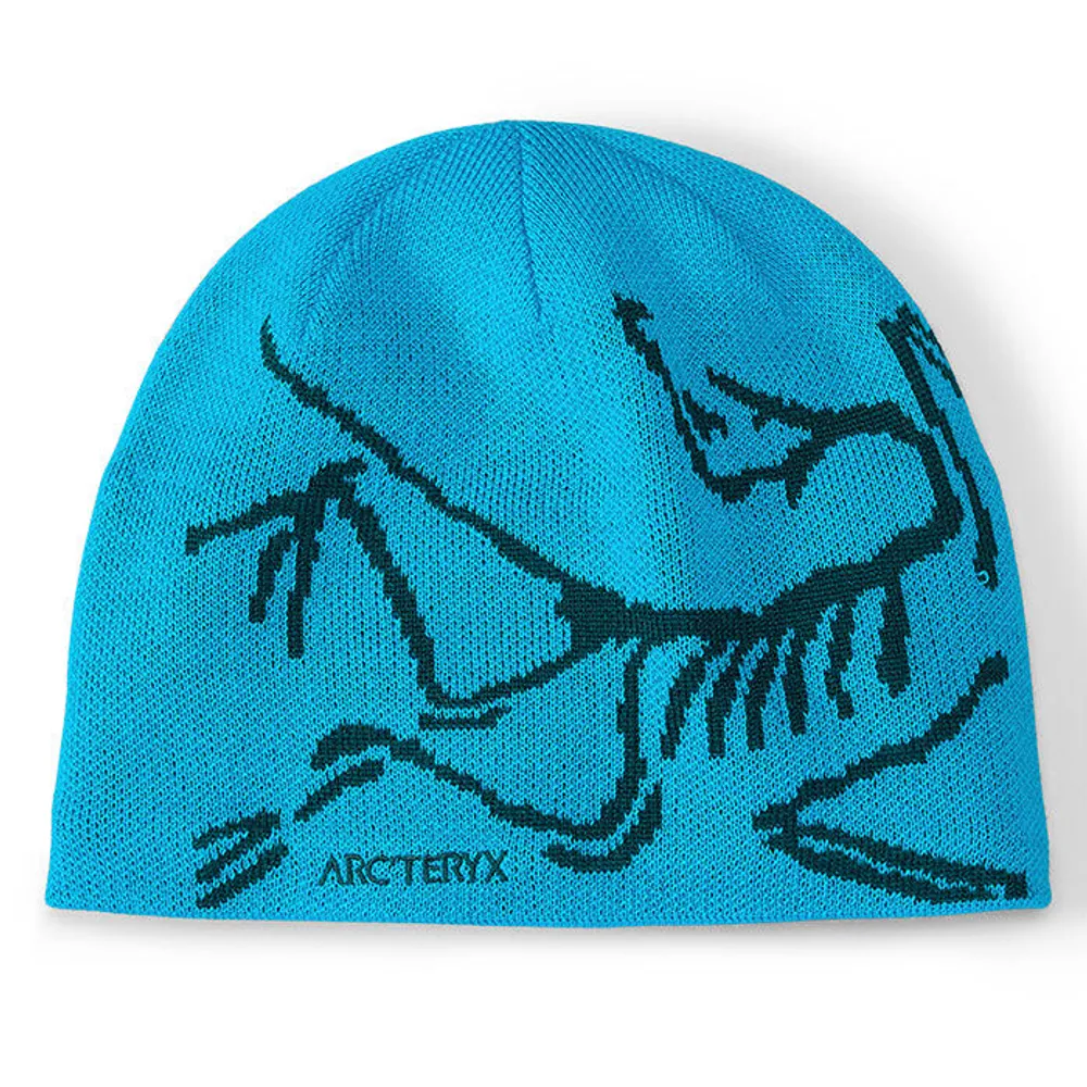 Arc'teryx - BIRD HEAD BEANIE ORACLE/DAZE – LE LABO STORE