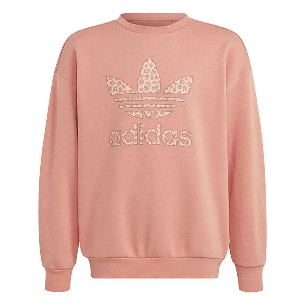 Graphic - Sweatshirt para Rapazes 8-16