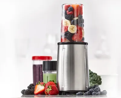 thinkkitchen Ultimate Sante Blender