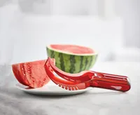 thinkkitchen Watermelon Cutter