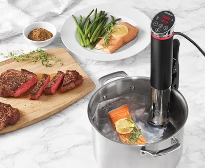 Ricardo Sous Vide Precision Vacuum Cooker