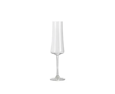 Zone Champagne Glass