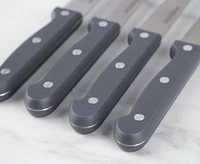 thinkkitchen Berliner Steak Knives, Set of 4