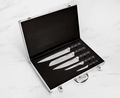 thinkkitchen Bond 5-Pc Knife Set with Case