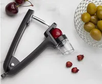 OXO Cherry and Olive Pitter