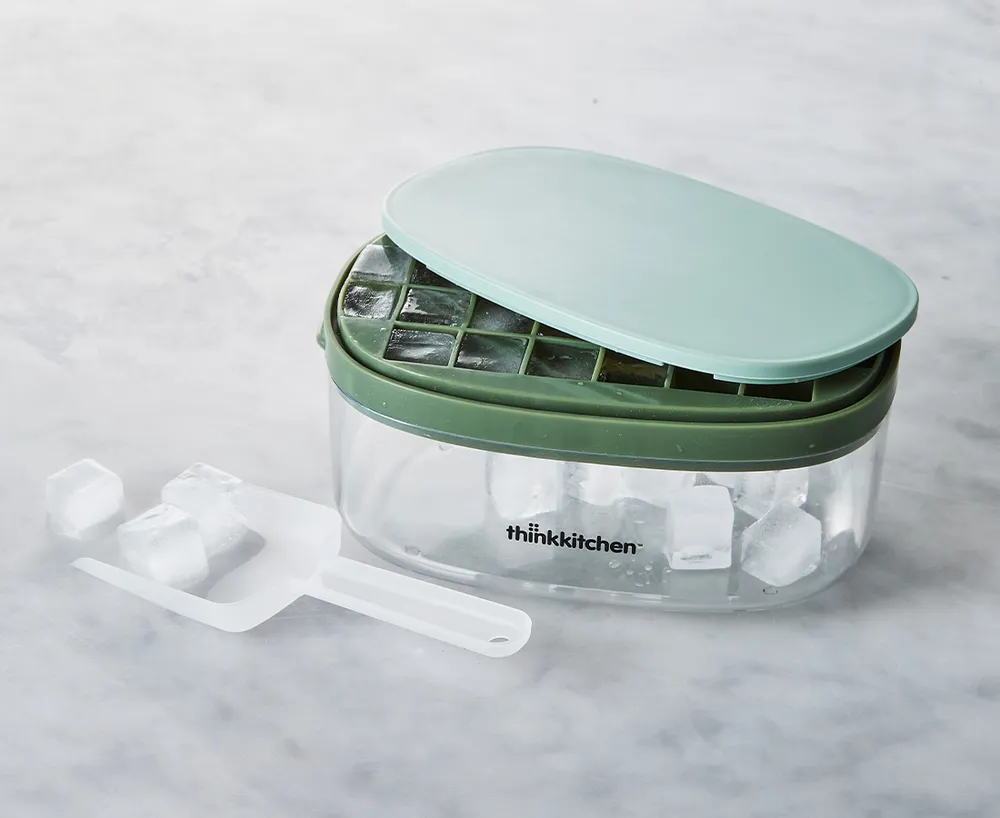 thinkkitchen Novelty Ice Cube Mold with Storage