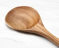 thinkkitchen Acacia Spoon