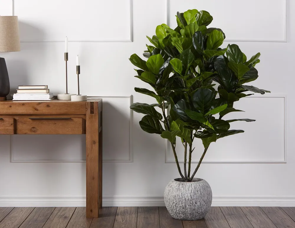 FIDDLE LEAF I artificial potted plant 150 cm